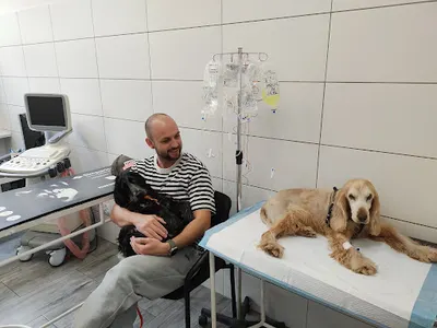 CENTRUM LECZENIA ZWIERZĄT BERNARD